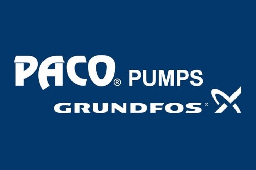 Paco Pumps