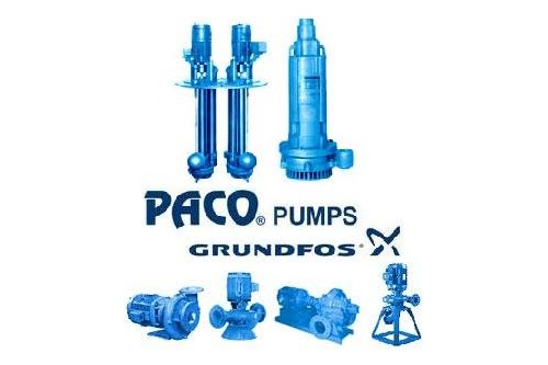 Paco Pumps